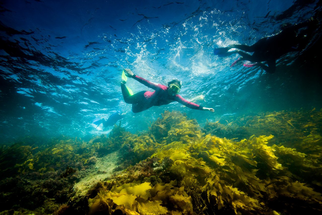 Person snorkelling underwater.